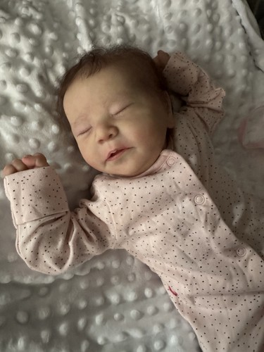 Reborn baby boy doll chase - baby,