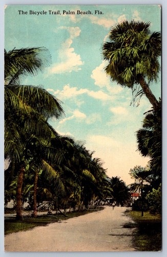 The bicycle trail palm - the, beach