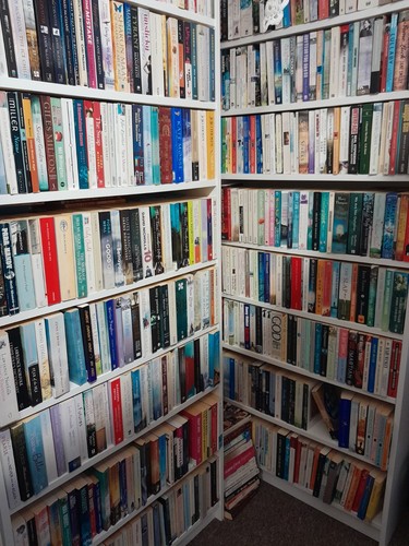 Womens literary fiction x10 - literary,