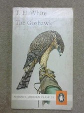 The goshawk white - the,