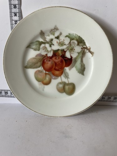 Vintage thomas bavaria plate - bavaria,