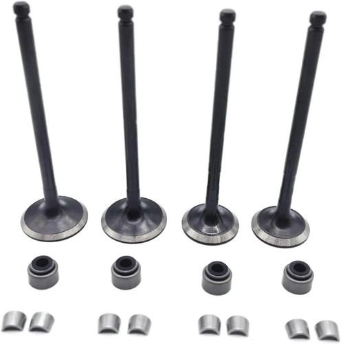 Intake valve exhaust - valve,