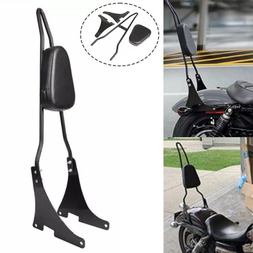 Motorcycle passenger sissy bar - passenger,