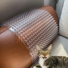 8/16/24 Cat Scat Mat Spike