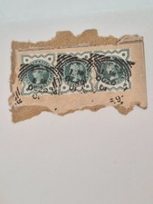 Queen victoria bluish - victoria,