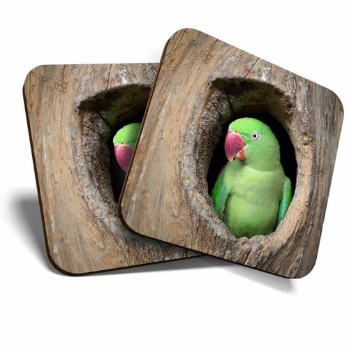 Coasters cute parrot - -,