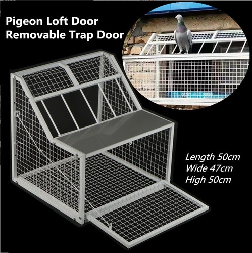 Pigeon loft door removable - loft,