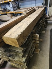 Large Very Old Feature Pine