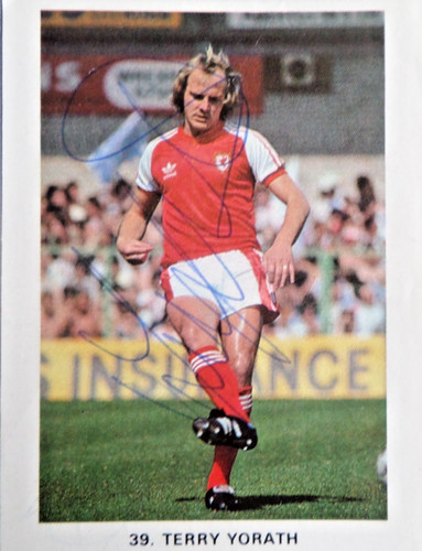 Terry yorath wales - terry,