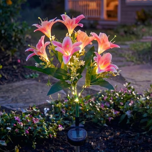 Head solar lily - lily, flower