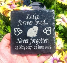 Rabbit MINI LOP memorial