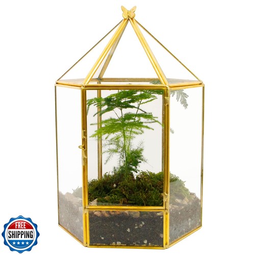Elegantlife glass geometric - elegantlife,