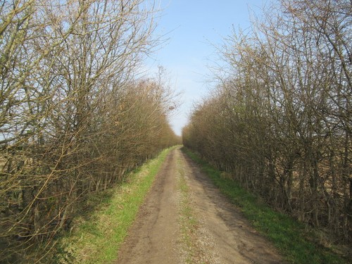 Photo enclosed track dell - photo,
