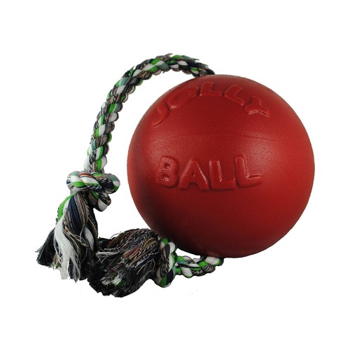 Jolly pets romp roll ball - jolly,