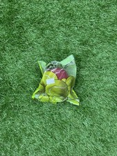 Nivia Red Tennis Balls For Indoor Or Outdoor Use