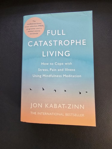 Full catastrophe living jon - catastrophe,