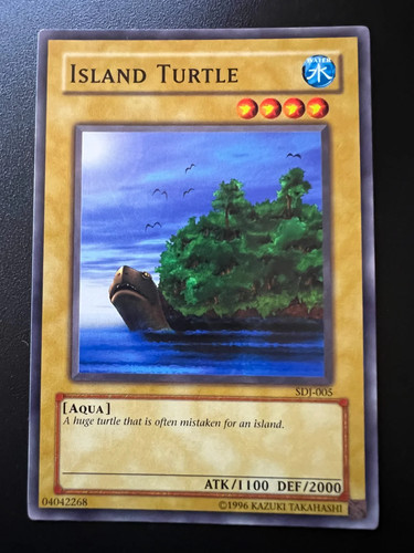 Island turtle sdj - sdj-005, common