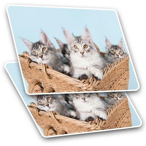 Rectangle stickers 5 - stickers, cm