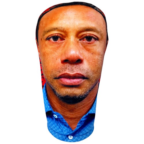 Tiger woods mug shot goat - woods,