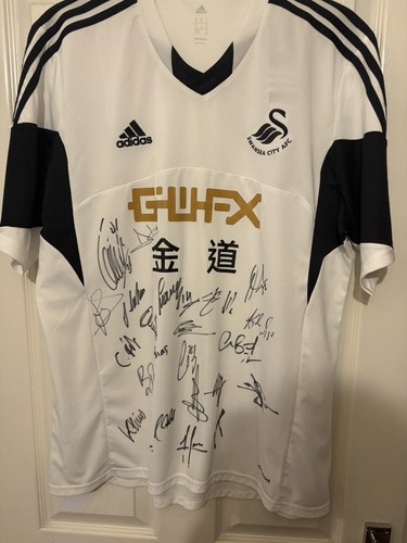 Swansea city squad signed - city,