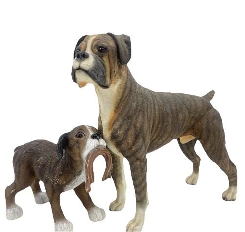 Boxer dog dad and - dog,