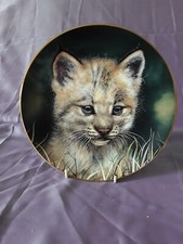Cubs of the Big Cats Plate