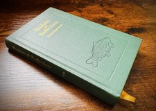 Shadows & Reflections By Chris