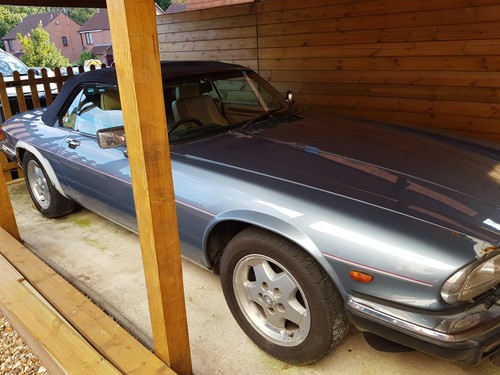 Jaguar xjs convertible - xjs,