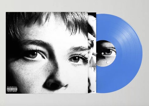 Maggie rogers surrender - maggie,