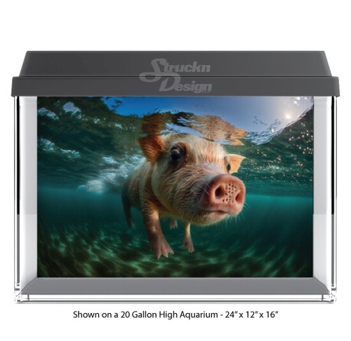 Cute pig swimming sea - cute,