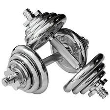 Viavito 20kg Chrome Dumbbell