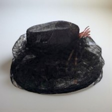 Elegant Black & Pink Feather