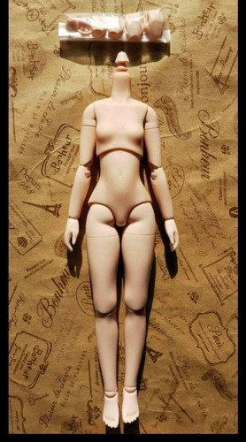 Obitsu 24cm body ver - body, bust