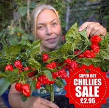 Seven Pot Barrackpore Chilli