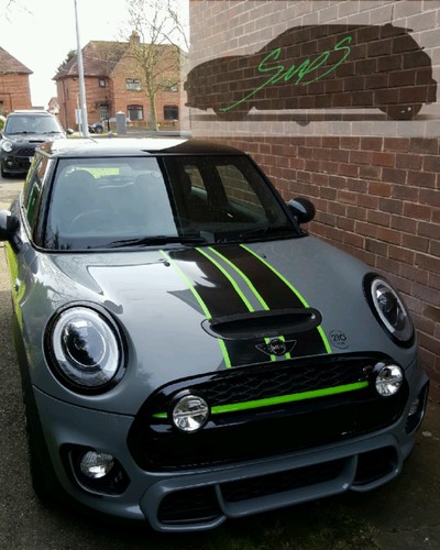 Matt lime green mini - green,