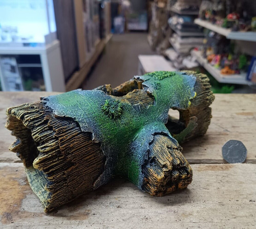 Log cave tree - log,