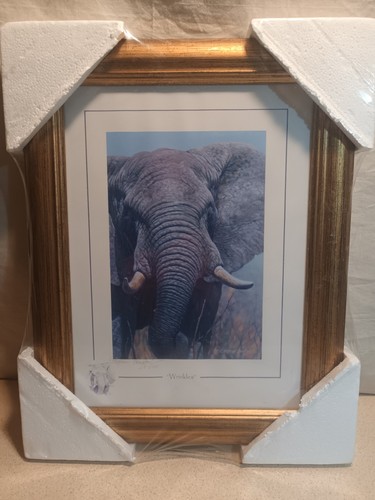 Stephen gayford print - stephen,