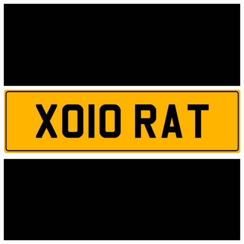 Rat catcher vermin - rat,