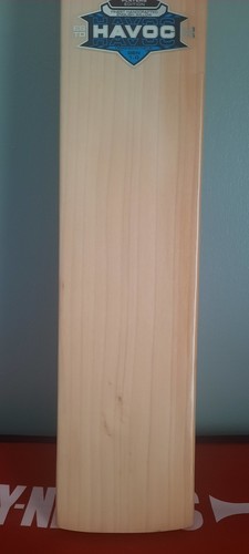 Grey nicolls havoc players - grey,