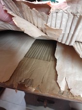 Lotus Elan M100 Right And Left