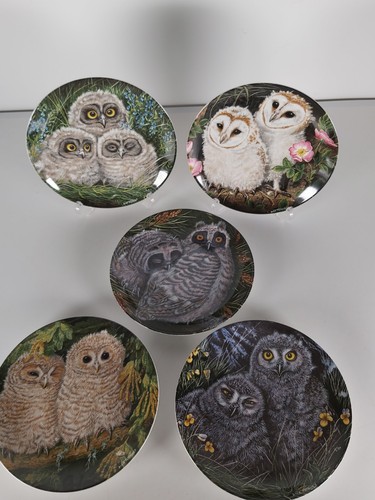 Wedgwood from baby owls - 5x,
