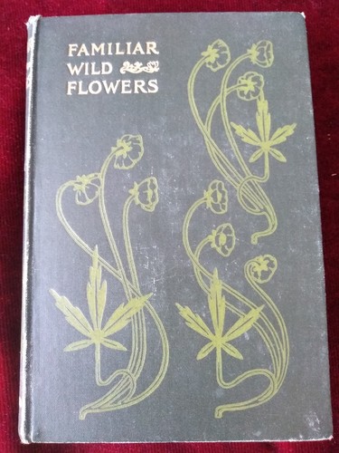 Familiar wildflowers f - wildflowers-,