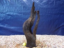 Large Driftwood 21"x08"x05"