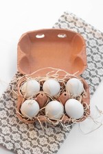 Henpac 6-Egg Egg Boxes fits