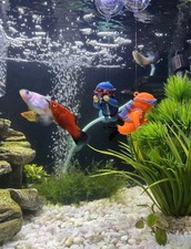 Aquarium Diver Ornaments –