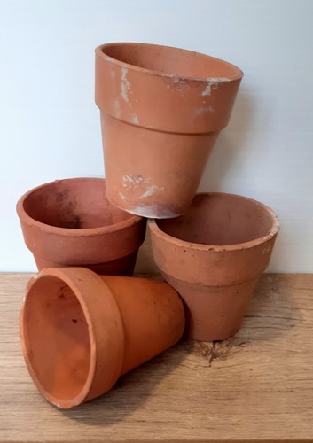Vintage terracotta plant - vintage,