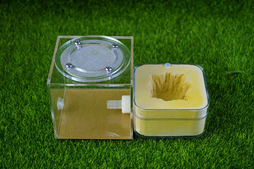 Natural acrylic ant farm - ant,