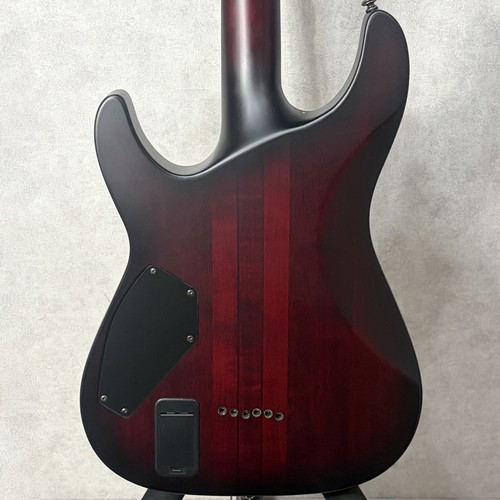 Schecter hellraiser extreme - schecter,