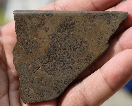 Vesta meteorite slice - 3”,