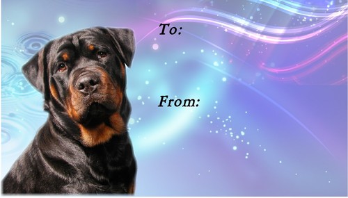 Rottweiler dog self adhesive - self,